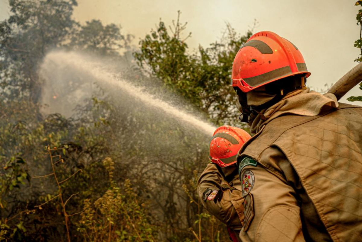 Bombeiros extinguem incêndio em propriedades do Pantanal em Poconé