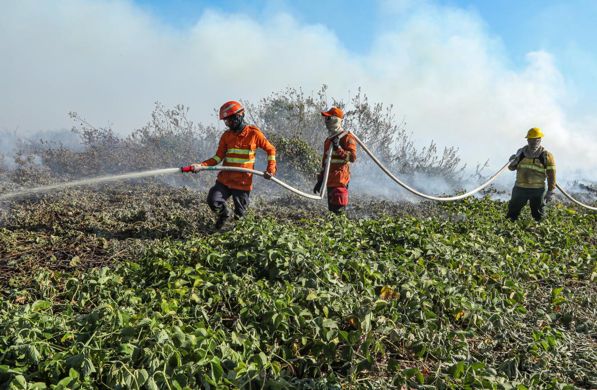 Bombeiros seguem atuando em duas frentes no combate ao incêndio no Porto Conceição