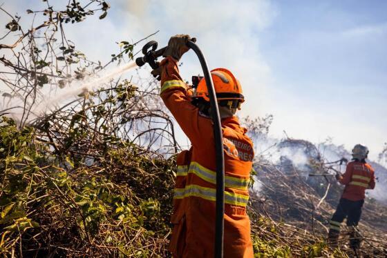 Corpo de Bombeiros extingue dois incêndios e combate outros 20 neste domingo