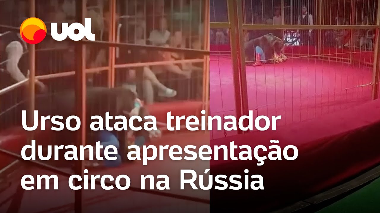 Urso ataca treinador durante apresentação em circo na Rússia; veja momento