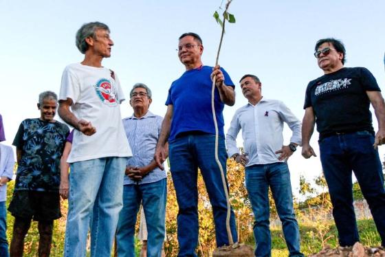 Política de arborização de Botelho aguarda sanção do governo