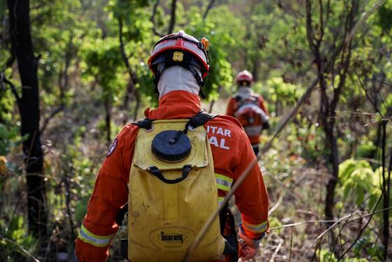 Corpo de Bombeiros combate 27 incêndios florestais em Mato Grosso neste domingo