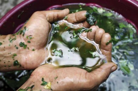 Projeções, cores e banhos para começar o ano com boas energias