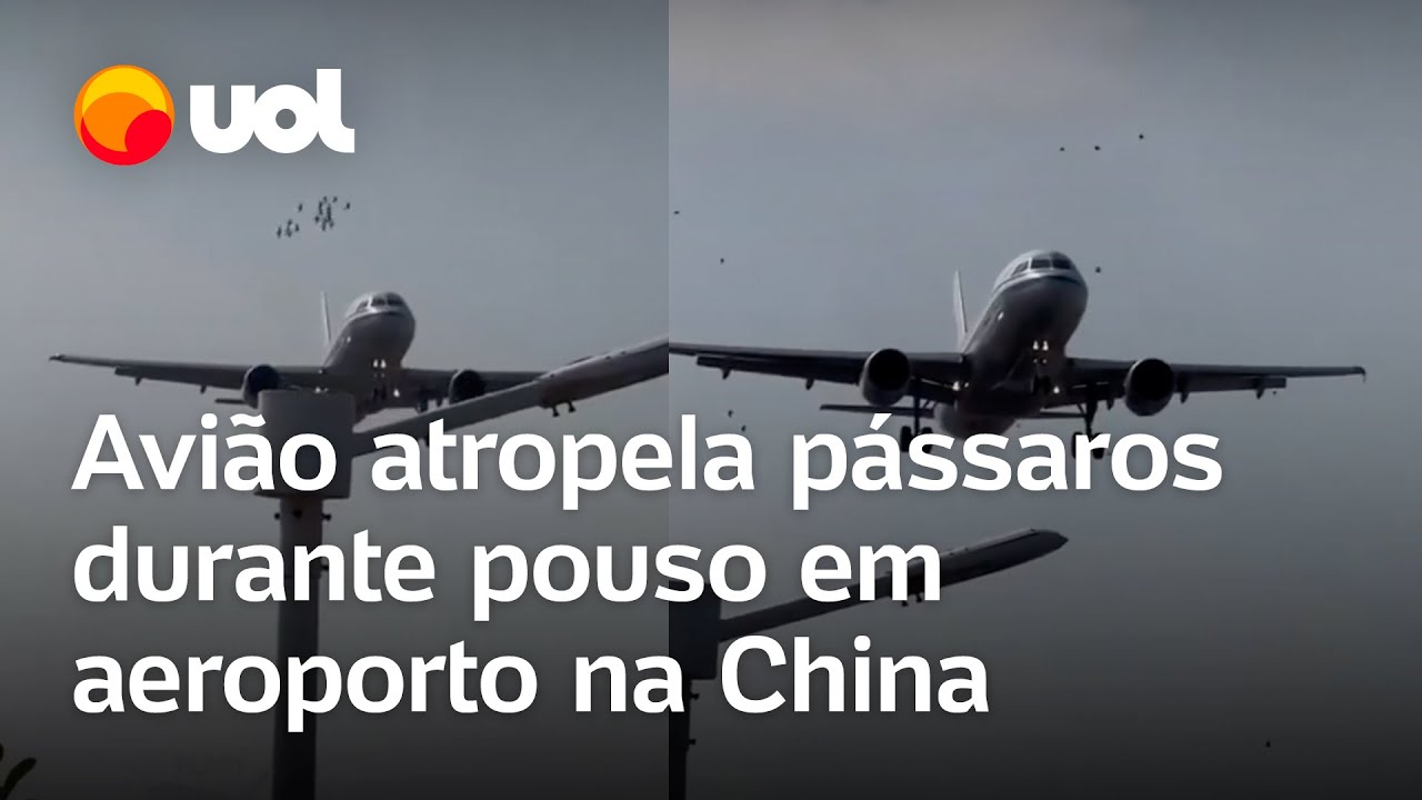 Avião atropela pássaros durante pouso em aeroporto na China; veja