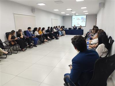 Foto da Notícia: Em quatro encontros estratégicos, comissões temáticas alinham atuação institucional